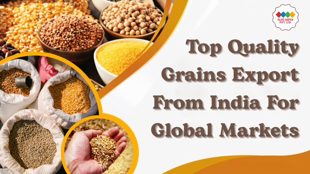 Top Quality Grains Export From India For Global Markets