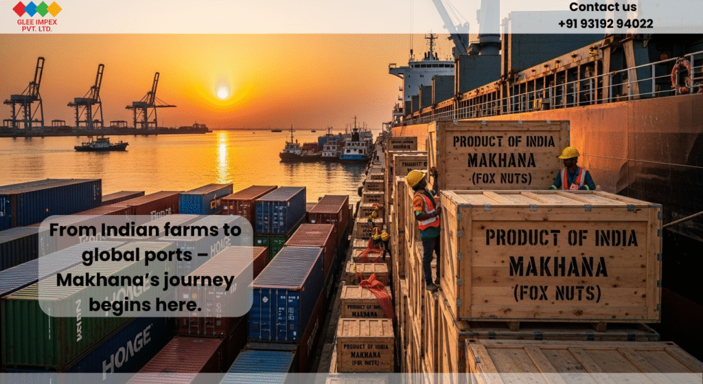 Best Makhana exporter in India shipping premium fox nuts from dockyard.