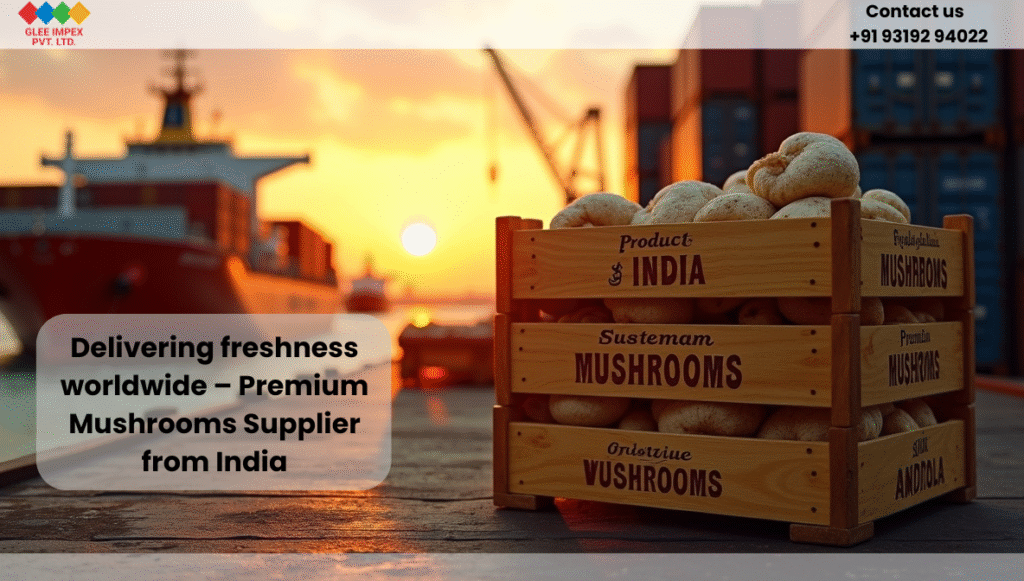 Glee Impex Pvt. Ltd. – Premium Mushrooms Supplier from India for Global Buyers Wooden crates of mushrooms being exported by a premium mushrooms supplier from India.