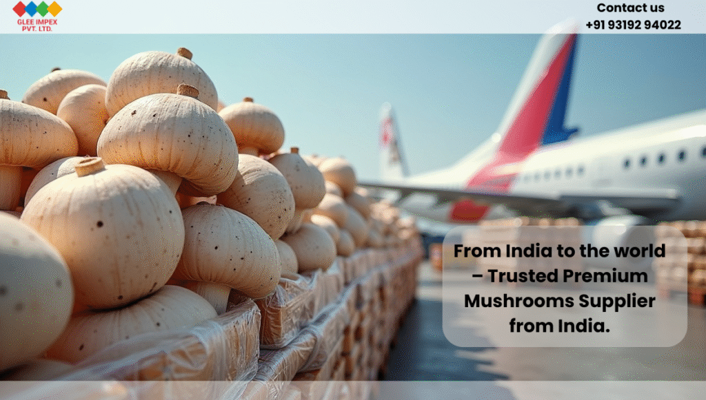 Glee Impex Pvt. Ltd. – Premium Mushrooms Supplier from India for Global Buyers Fresh mushroom export packaging ready for air shipment by a premium mushrooms supplier from India