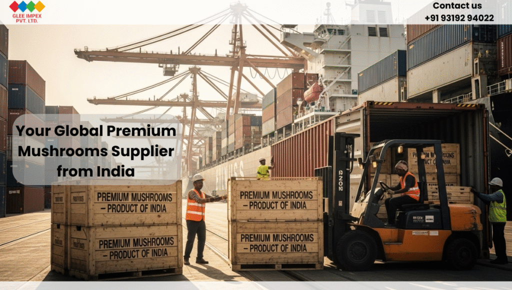 Glee Impex Pvt. Ltd. – Premium Mushrooms Supplier from India for Global Buyers International port scene showing mushroom export crates by a premium mushrooms supplier from India