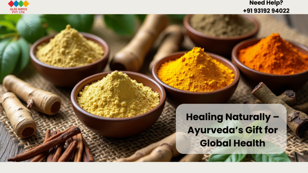 Herbal and Ayurvedic powders exporter in India – Turmeric, Ashwagandha, Neem, Aloe Vera, Tulsi by Glee Impex.