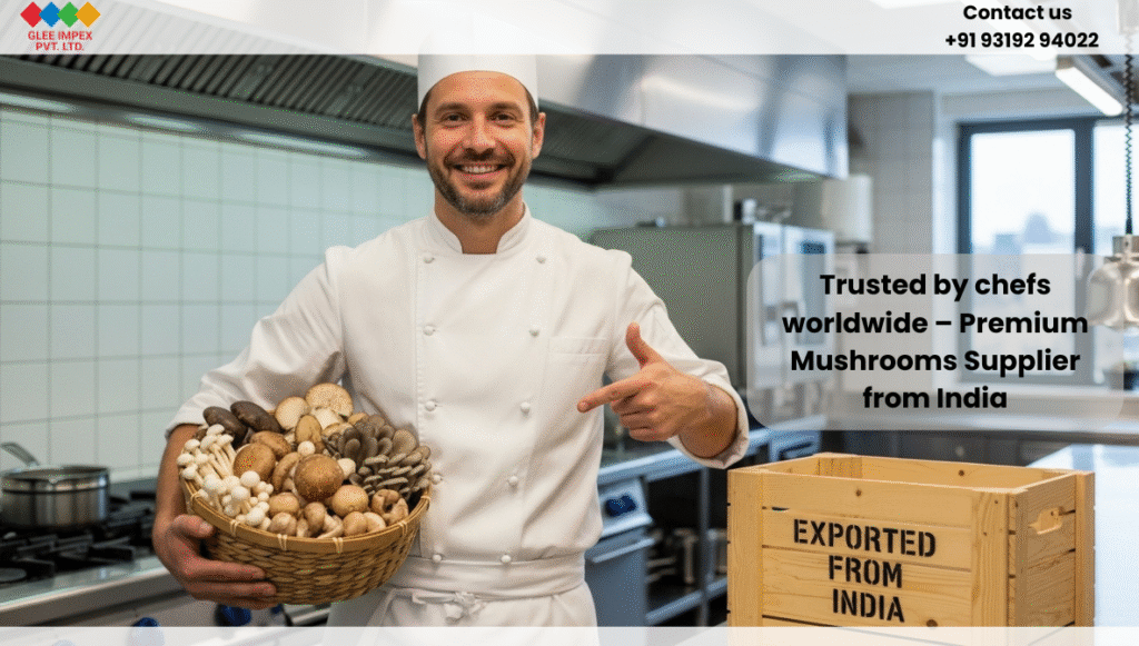 Glee Impex Pvt. Ltd. – Premium Mushrooms Supplier from India for Global Buyers European chef holding mushrooms imported from a premium mushrooms supplier from India