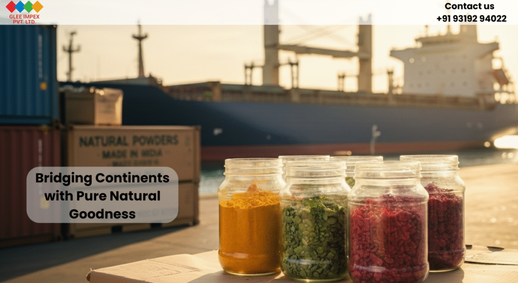 Natural powder exporter shipping premium organic dehydrated powders from India to international markets