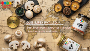 Choose Glee Impex: The Leading Organic Mushroom Exporter from India for Global Markets.
