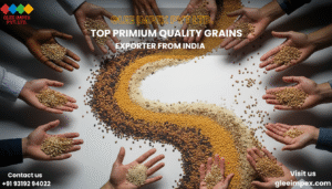 Glee Impex: The Global Face of Indian Agriculture as a Premier grains exporter in India