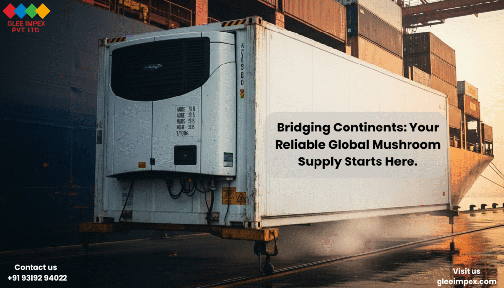 Choose Glee Impex: The Leading Organic Mushroom Exporter from India for Global Markets. Mushroom Exporter from India Glee Impex container being loaded onto a cargo ship at sunrise, symbolizing reliable global export and logistics.
