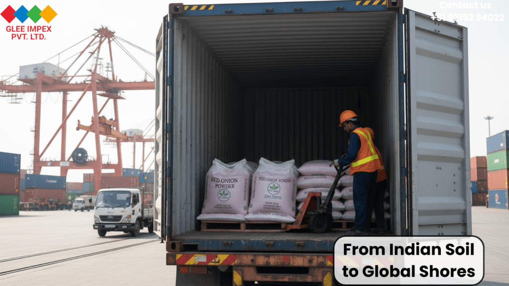 Industrial port scene showing pallets of onion powder being loaded into a shipping container by a professional Onion Powder exporter.