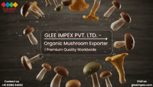 Top Organic Mushroom Exporter in India | Premium Fresh & Dried Mushroom by Glee Impex