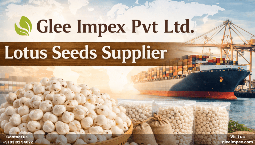Lotus Seeds Supplier | Premium Bulk Supply of Protein Rich Snacks Worldwide