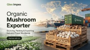 How to Choose the Right Organic Mushroom Supplier for Global Markets
